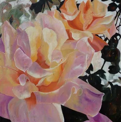 Rosas cor-de-rosa e laranja