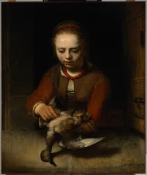 Jovem rapariga a depenar um pato, c.1650 (óleo sobre tela)