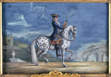 No. 11 Um cavalo appaloosa da escola de equitação espanhola, do garanhão Imperial na Boêmia (wc no papel)