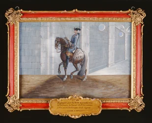 No. 20 Um cavalo cinzento da Escola de Equitação Espanhola que executa o passo de adestramento de Volte (wc em papel)