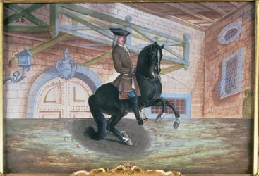 No. 36 Um cavalo de baía marrom da Escola de Equitação Espanhola que executa uma pirueta perto do chão (wc em papel)