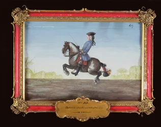No. 49 Um cavalo da Escola de Equitação Espanhola que executa um movimento de adestramento chamado um Ballotade (wc em papel)
