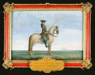 No. 9 Um cavalo cinza da Escola de Equitação Espanhola, do cravo do conde de Kaunitz na Boêmia (wc no papel)