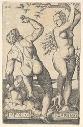 Apollo e Daphne cópia reversa.