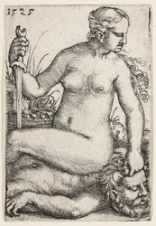 Judite