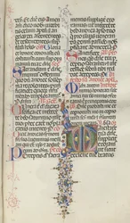Missale: Fol. 260: Folhagem com Frutas, 1469.
