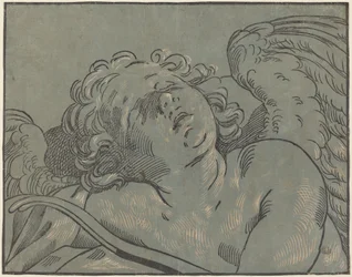 Cupido dormindo
