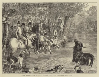 Caça ao veado em Surrey, tomando o cervo, Shackleford Pond