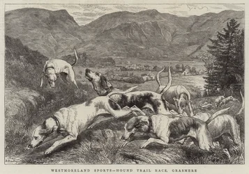 Esportes de Westmoreland, raça experimental do cão de caça, Grasmere