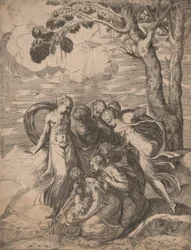 A descoberta de Moisés, década de 1540.
