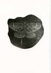 Borboleta da noite, 2016, (gravura em madeira sobre papel)