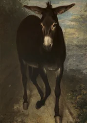 Um burro siciliano