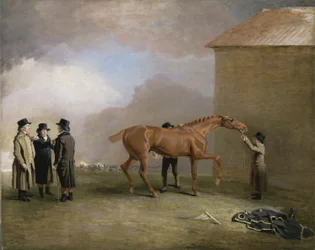 Muly Moloch, um potro castanho a ser esfregado no Newmarket Heath, com retratos de Trotter, Hardy e Thompson à esquerda (óleo sobre tela)