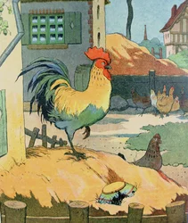 O galo, ilustração de «Le Buffon de Benjamin Rabier», adaptada de «Histoire Naturelle» de Georges de Buffon (1707-88)