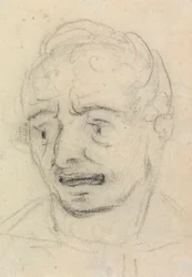 Retrato Estudo da Expressão Facial de um Homem