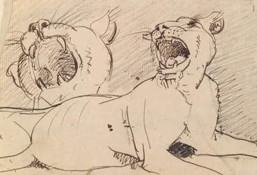 Estudo de uma Lioness