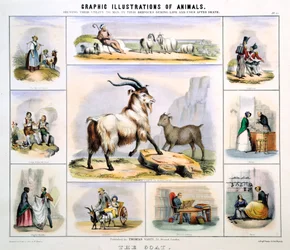 A Cabra, c1850