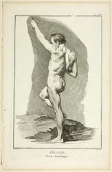 Design: Academic Figure, da Encyclopédie