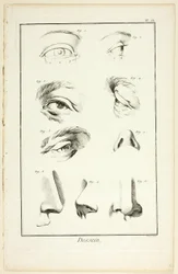 Desenho: Anatomia Facial de Encyclopédie