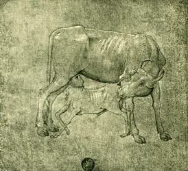 Vaca e bezerro, meados do final do século XV, 1943.