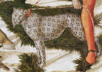 Leopardo, puxando, coleira, detalhe, de, a, viagem, de, a, Magi, ciclo, em, a, capela, c.1460, afresco, detalhe, de, 70601