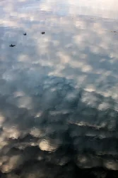 Reflexos de nuvens e pássaros na superfície do rio Garonne em Toulouse, Haute-Garonne (foto)