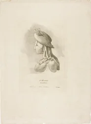 A Mulher-Carniceiro, de Arts et Métiers