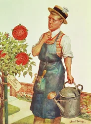 Príncipe de Gales, mais tarde Eduardo VIII (gravura)