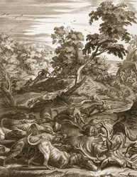 Actaeon se transformou em um veado e devorado por seus cães, 1731