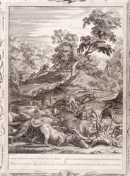 Actaeon se transformou em um veado e devorado por seus cães, 1731