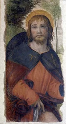 Representação de Saint Rocco (Roch). Fresco da escola de Bernardino de Scapis conhecida como Bernardino Luini (1485-1532). Século XVI