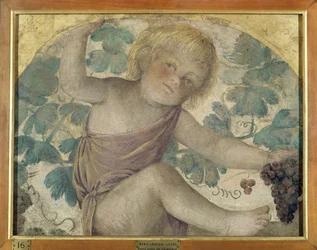 Colheita putti - Colocado debaixo de uma pérgola, c.1514 (fresco destacado transportado a bordo)