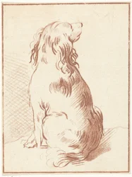 Cão sentado