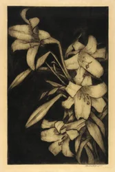 Páscoa, ou Madonna, Lírios