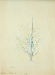 Arbustos à beira do lago, 1893 (lápis de cor sobre papel)