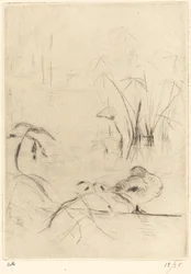 Patos em repouso no banco, 18881890.