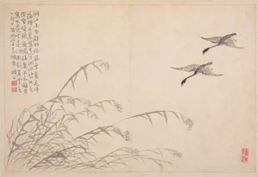 Álbum de Caligrafia e Pintura, Século XVIII.
