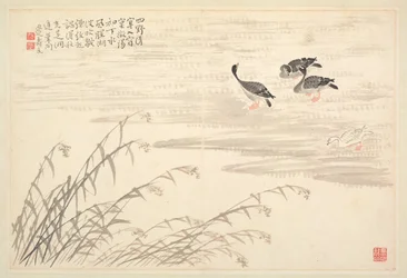 Álbum de Caligrafia e Pintura, Século XVIII.