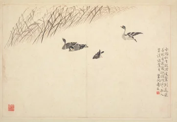 Álbum de Caligrafia e Pintura, Século XVIII.