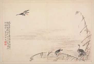 Álbum de Caligrafia e Pintura, Século XVIII.