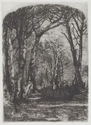 Woods [Bosco], c.1895.