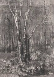 Bosques no Parque perto de Monza, 1895.
