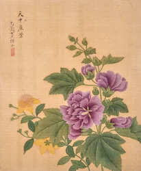 Álbum de flores (tinta e cor sobre seda)