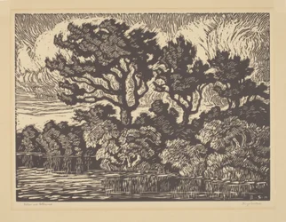 Salgueiro e Cottonwood, cerca de 1931 (linogravura)