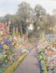 Caminho de jardim com hollyhocks e papoulas