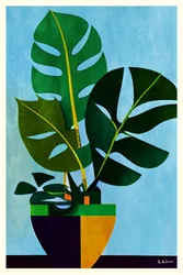 Monstera moderna em vaso