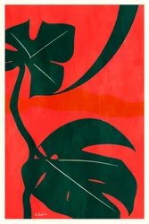 Folhas de Monstera da Selva