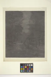 Madeira Moonlight Woods (tinta sobre papel)