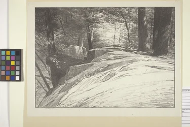 Rochas e Árvores (tinta sobre papel)