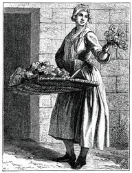 My Beautiful Pinks !, 1737-1742.